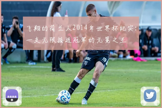 飞翔的荷兰人2014年世界杯纪实：一支无限接近冠军的无冕之王