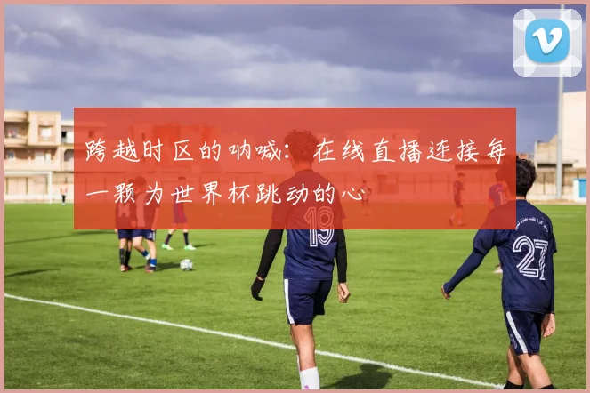 跨越时区的呐喊：在线直播连接每一颗为世界杯跳动的心