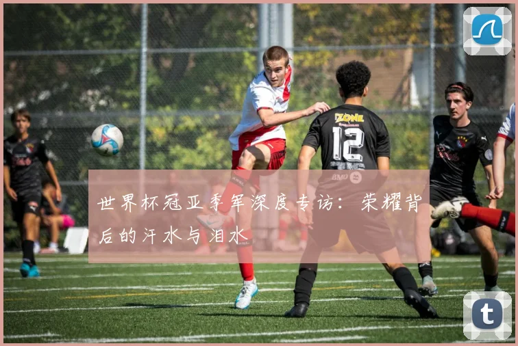 世界杯冠亚季军深度专访：荣耀背后的汗水与泪水
