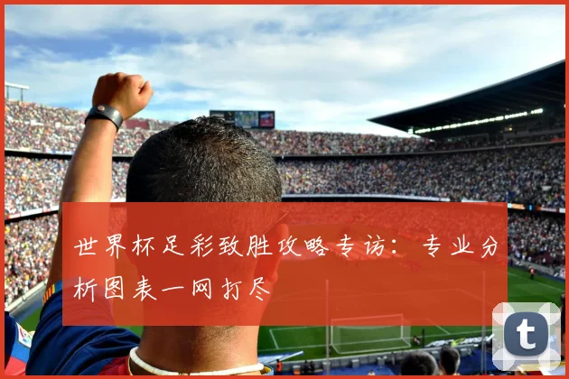 世界杯足彩致胜攻略专访：专业分析图表一网打尽