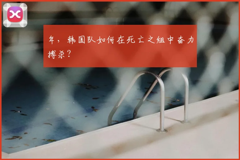 年,韩国队如何在死亡之组中奋力搏杀?