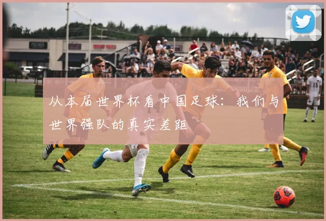从本届世界杯看中国足球:我们与世界强队的真实差距