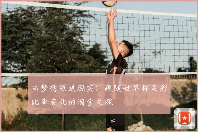 当梦想照进现实：跟随世界杯足彩比率变化的淘金之旅
