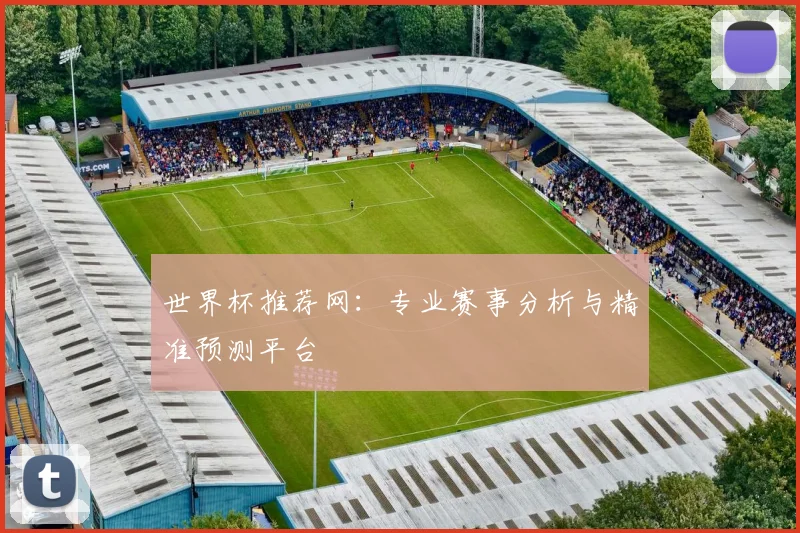 世界杯推荐网：专业赛事分析与精准预测平台