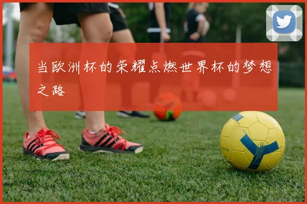 当欧洲杯的荣耀点燃世界杯的梦想之路