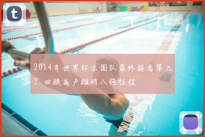 2014年世界杯法国队最终排名第几？回顾高卢雄鸡八强征程